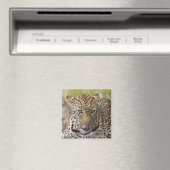 Leopard Magneet (Insitu (Vaatwasser))