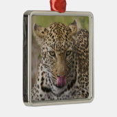 Leopard Metalen Ornament (Rechts)