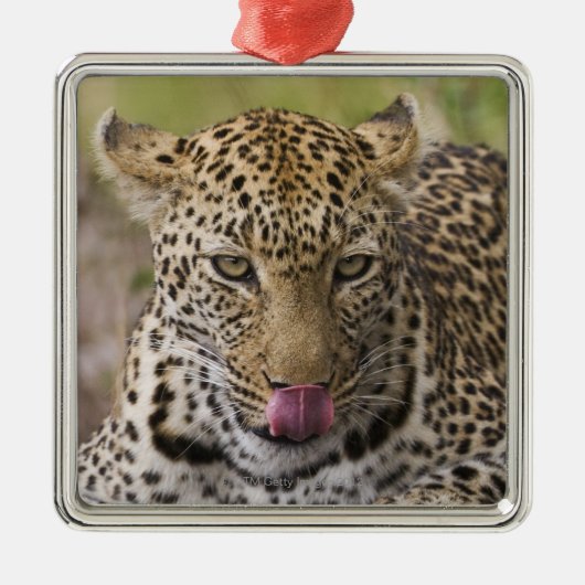 Leopard Metalen Ornament (Voorkant)