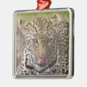 Leopard Metalen Ornament (Links)