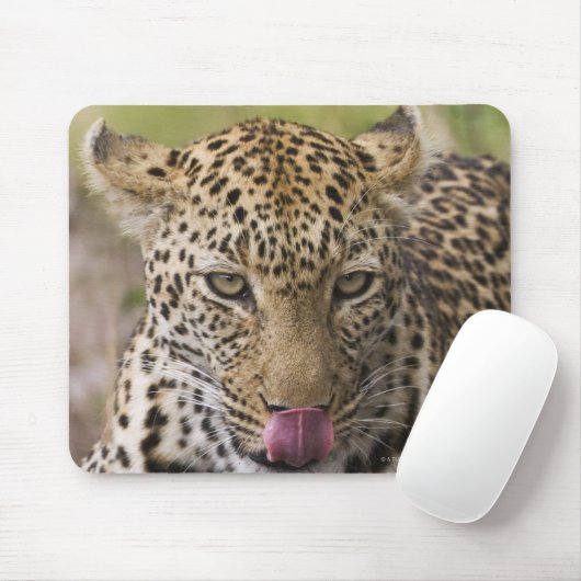 Leopard Muismat (Met muis)
