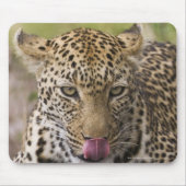 Leopard Muismat (Voorkant)