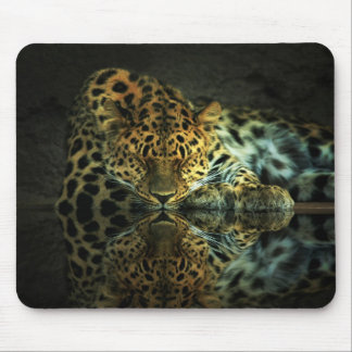 Leopard Muismat