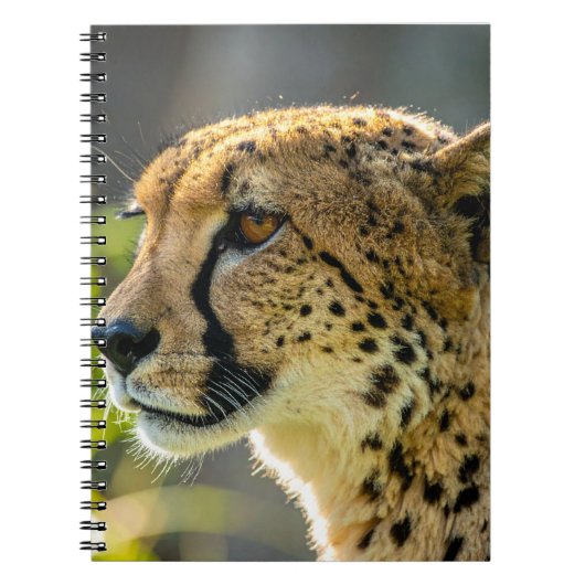 leopard notitieboek (Voorkant)
