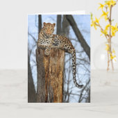 Leopard on Watch Wenskaart Kaart (Gele Bloem)