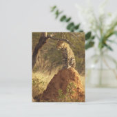 Leopard op termietheuvel in Namibië Briefkaart (Staand voorkant)