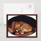 Leopard Oval van Stubbs George Briefkaart (Voorkant / Achterkant)