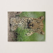 Leopard, Panthera pardus, Sabi Sabi Game Legpuzzel (Horizontaal)