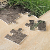 Leopard, Panthera pardus, Sabi Sabi Game Legpuzzel (Zijkant)