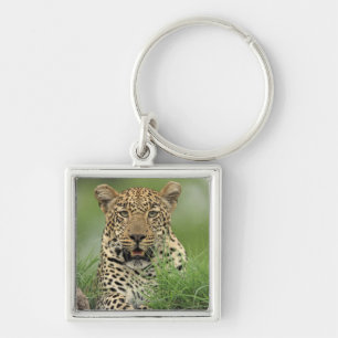 Leopard, Panthera pardus, Sabi Sabi Game Sleutelhanger
