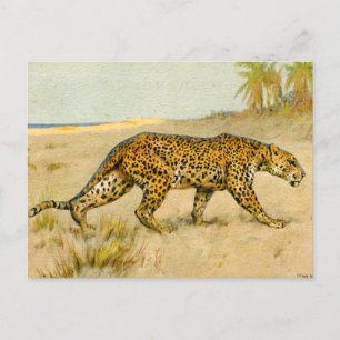Leopard, pastel, kunstenaar onbekend briefkaart