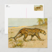 Leopard, pastel, kunstenaar onbekend briefkaart (Voorkant / Achterkant)