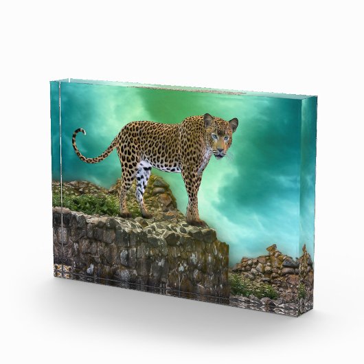 Leopard Photo Block Fotoblokken (Rechts)