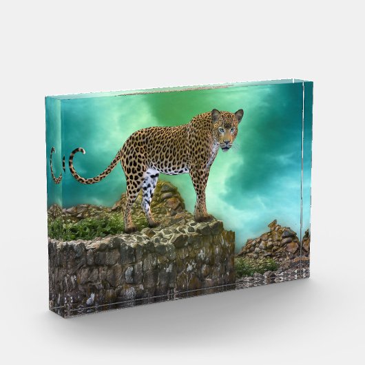 Leopard Photo Block Fotoblokken (Links)