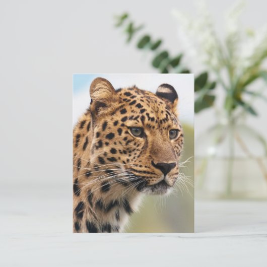 Leopard Photo Briefkaart (Staand voorkant)