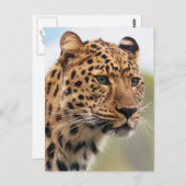 Leopard Photo Briefkaart (Voorkant / Achterkant)