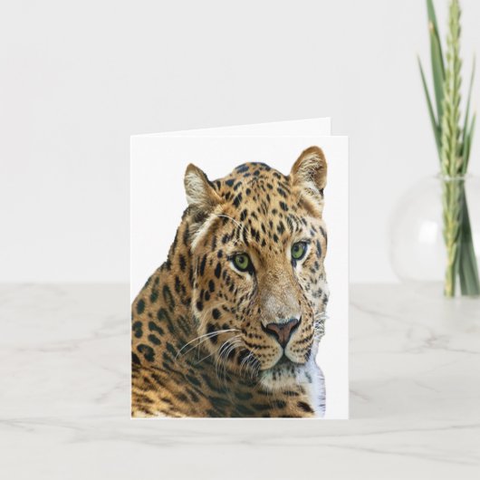 Leopard Photo Folded Note Kaart (Voorkant)