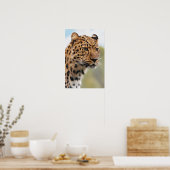 Leopard Photo Poster (Keuken)