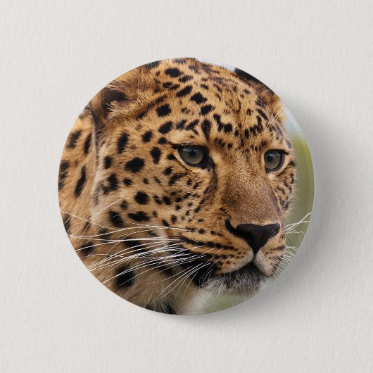 Leopard Photo Ronde Button 5,7 Cm (Voorkant)