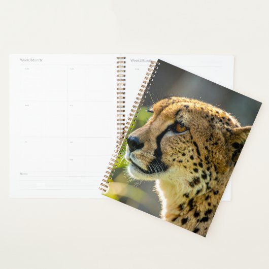 leopard planner (Display)