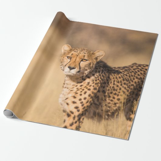 LEOPARD PORTRAIT CADEAUPAPIER (Uitgerold)