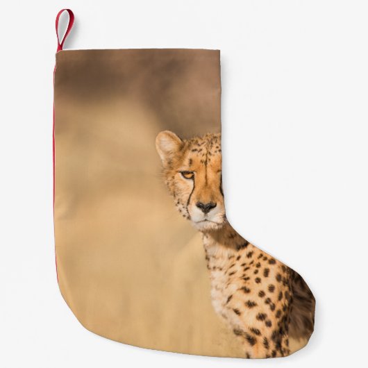 LEOPARD PORTRAIT KLEINE KERSTSOK (Voorkant)