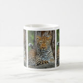 Leopard Portrait Mok (Center)
