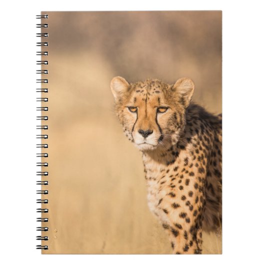 LEOPARD PORTRAIT NOTITIEBOEK (Voorkant)