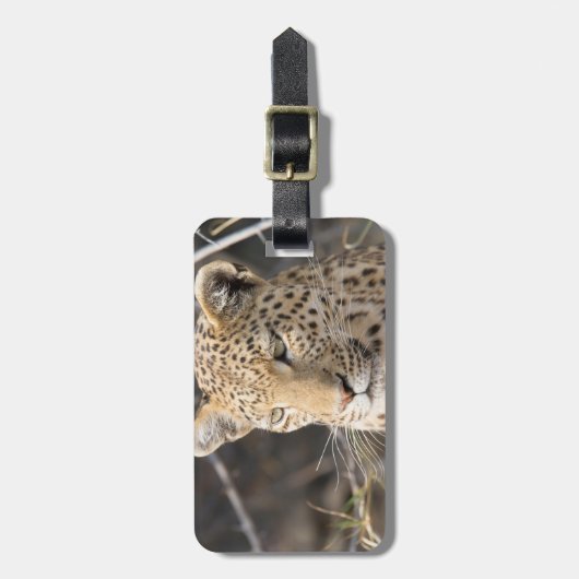 Leopard portret bagagelabel (Voorkant verticaal)