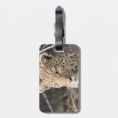 Leopard portret bagagelabel (Achterkant verticaal)