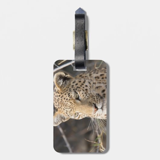 Leopard portret bagagelabel (Achterkant verticaal)