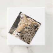 Leopard portret bedankjes labels (In situ)
