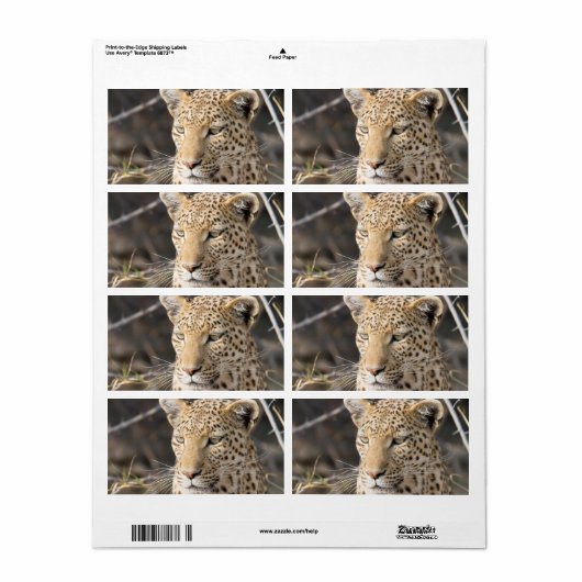 Leopard portret etiket (Full Sheet)