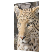 Leopard portret klembord (Links)