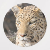 Leopard portret labels (Design 2)