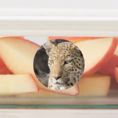 Leopard portret labels (Aangebracht)