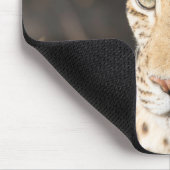 Leopard portret muismat (Hoek)