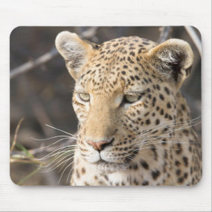Leopard portret muismat