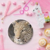 Leopard portret papieren bordje (Feest)