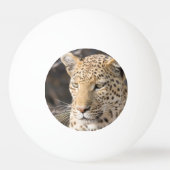 Leopard portret pingpongbal (Voorkant)