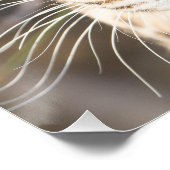 Leopard portret poster (Hoek)