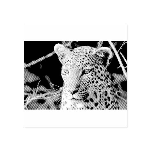Leopard portret rubberstempel (Afrduk)