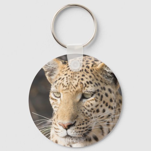 Leopard portret sleutelhanger (Voorkant)