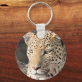 Leopard portret sleutelhanger (Voorkant)