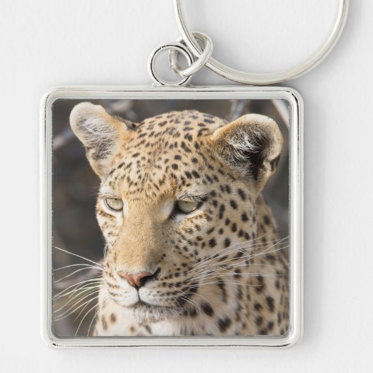 Leopard portret sleutelhanger (Voorkant)