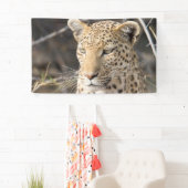 Leopard portret spandoek (Insitu)
