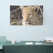Leopard portret spandoek (Beurs)