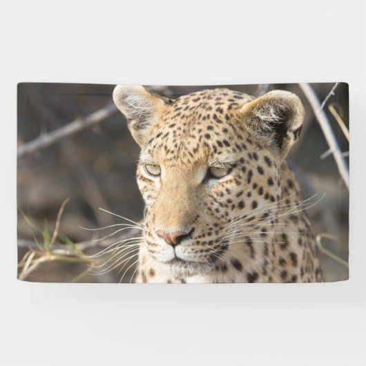 Leopard portret spandoek (Horizontaal)