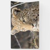 Leopard portret spandoek (Verticaal)