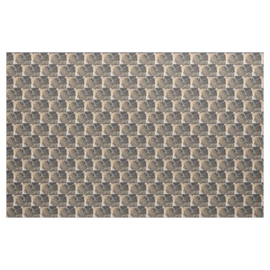 Leopard portret stof (Yard (91,4 cm))